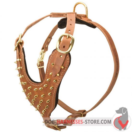 Exclusive Fashion Studded Leather Dog Harness