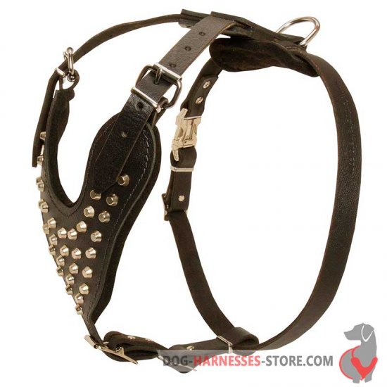 Studded Leather Dog Harness With Pyramids - Custom Dog Harness
