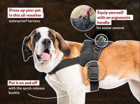 All Weather Nylon Dog Harness with Handle and Side D-rings