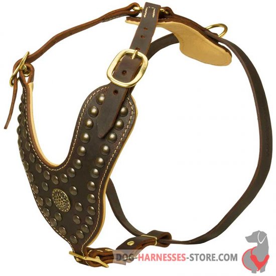 Studded Dog Harness - Royal Padded Leather Dog Harness
