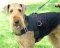 Nylon Multi-Purpose Airedale Terrier Harness for Tracking/Pulling