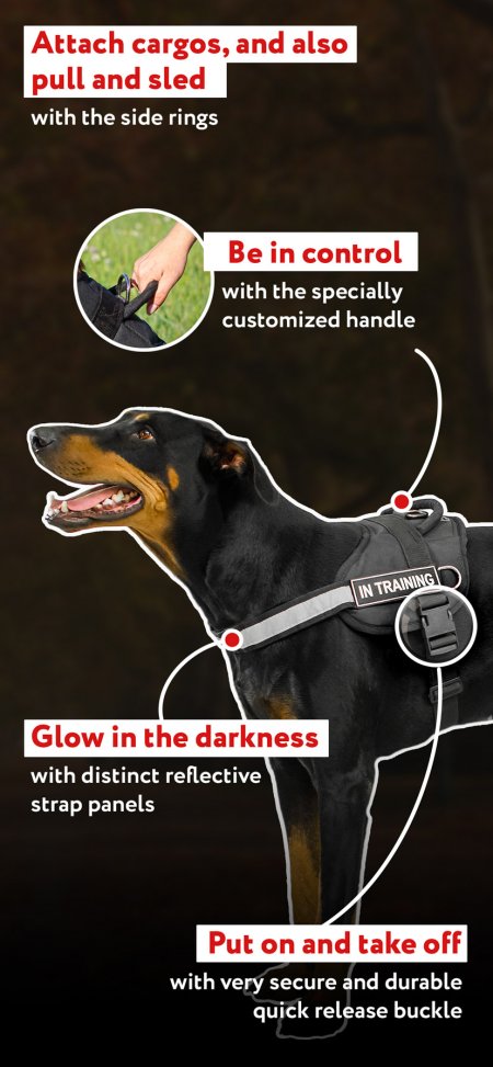 Boston Terrier Nylon Dog Harness for Tracking Pulling