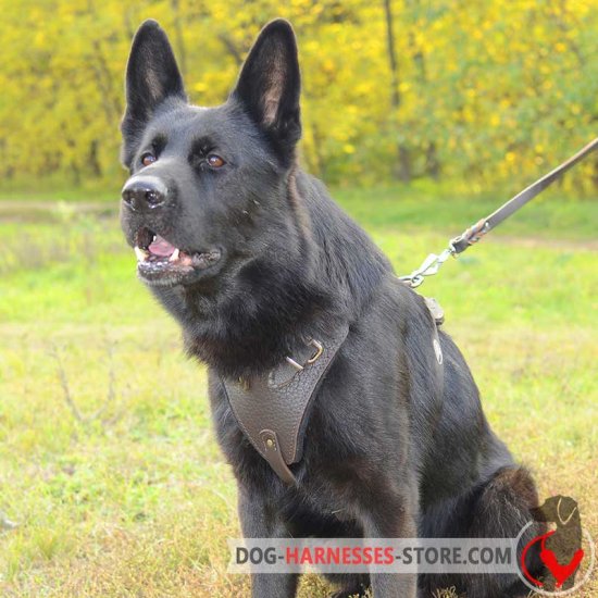 Agitation/Protection Leather German Shepherd Harness for Training