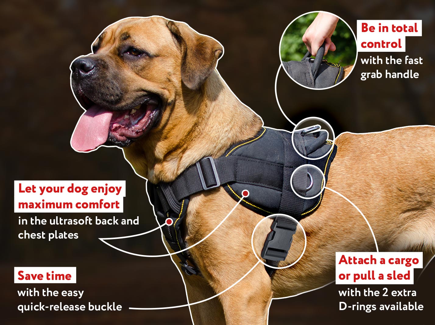 Best pulling Pitbull harness made of nylon