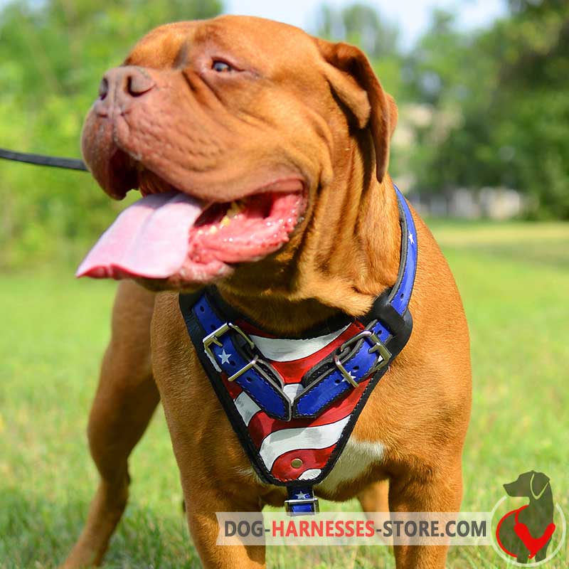 Dogue-de-Bordeaux Handpainted American Pride Leather Harness