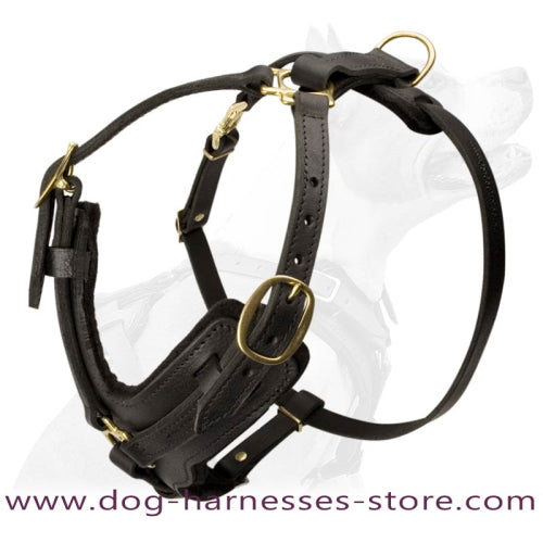 Exclusive Luxury Handcrafted Padded Leather Dog Harness Briard