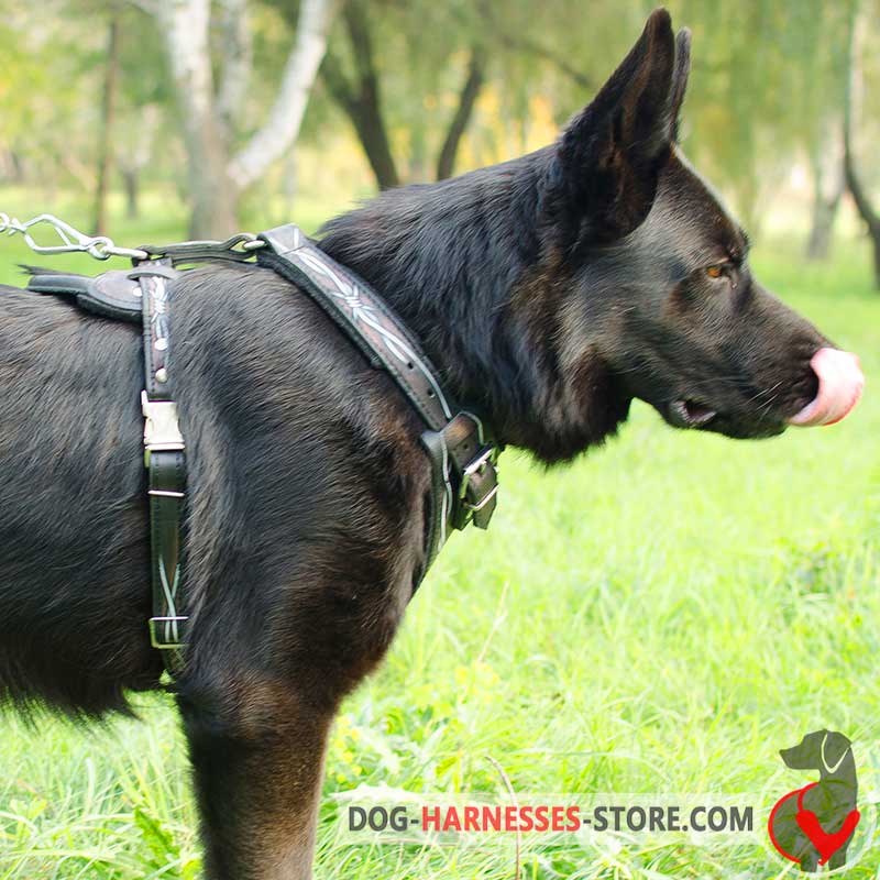 Hand Painted German Shepherd Harness