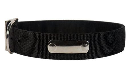 Performance 2 Ply Nylon Dog Collar w/h Name Tag/Metal Buckle