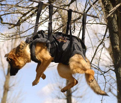 Tactical Insertion Akita Inu Harness for Rescue Operations
