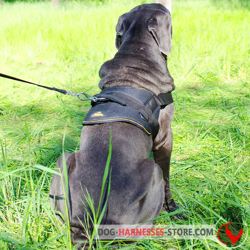 Tracking Nylon Japanese Mastiff Harness