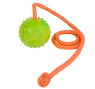Training DOG BALL on a String-Dog Rubber Ball for dog walking