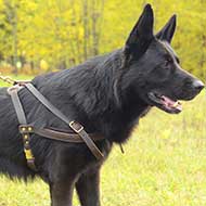 Tracking/Pulling Leather German Shepherd Harness