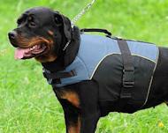Rottweiler Dog Vest - Rottweiler Dog Coat - Rottweiler Jacket