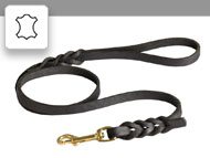 Leather leashes/Leads