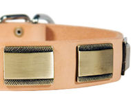 Designer Dog Collar for DOG-Leather Custom Collar