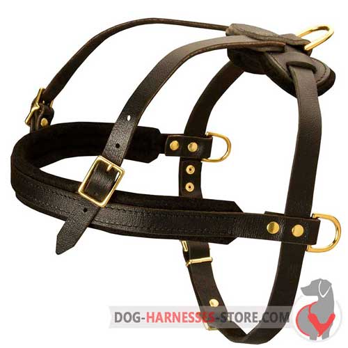 Padded on chest comfortable leather dog harness