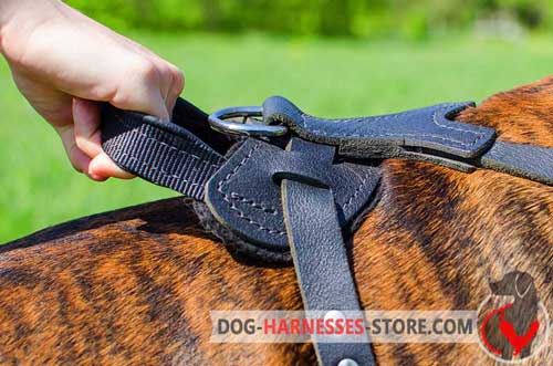 Classic design dog harness with strong handle