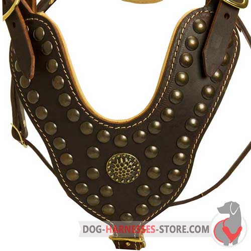 Designer leather dog harness with studs