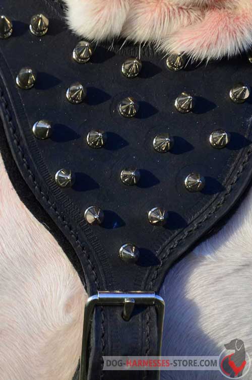 Premium leather dog harness with nickel spikes