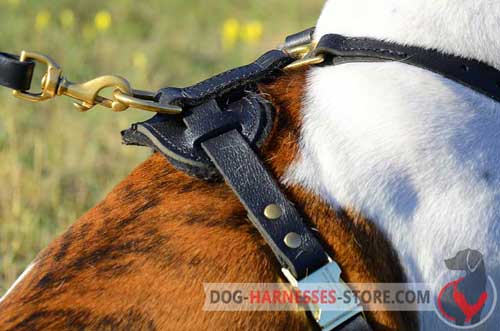 Strong Massive Brass Ring for Leash Attachment