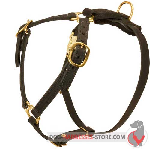 Adjustable Leather Dog Harness for Reliable Control