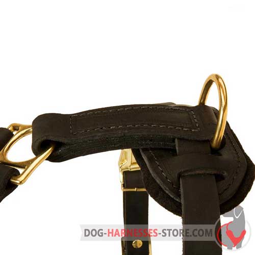 Stylish and practical leather dog harness for any purpose