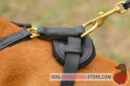 Leather dog harness with stainless hardware