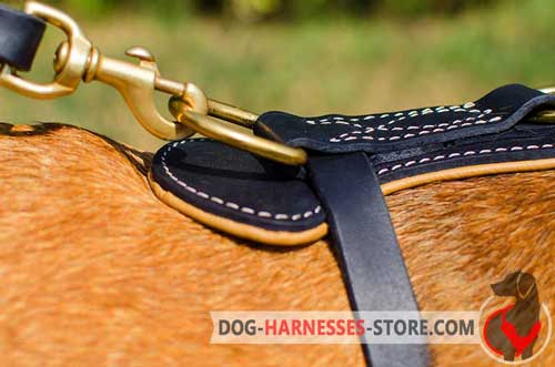 Brass D-ring for leash attachment