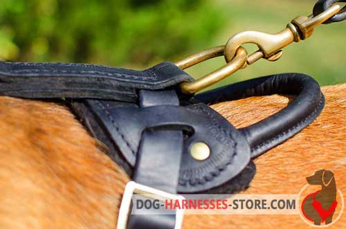 Brass D-ring to Attach A Leash