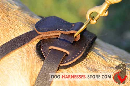 Brass D-ring to fasten a leash