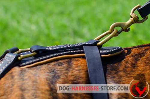 Tough brass D-ring for leash attachment