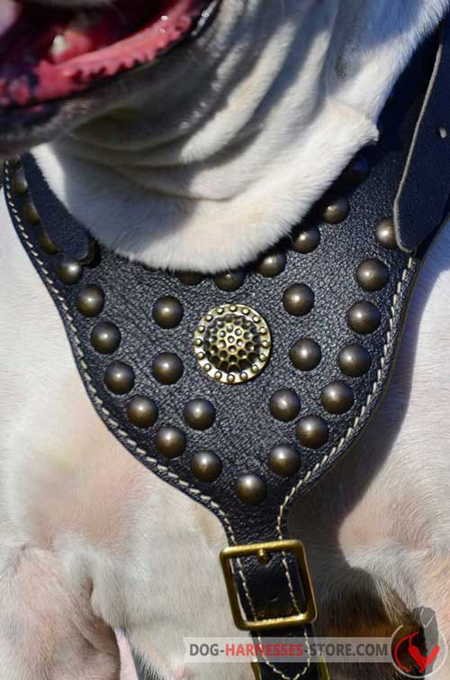 Studded Leather Dog Harness Comfortable to Wear