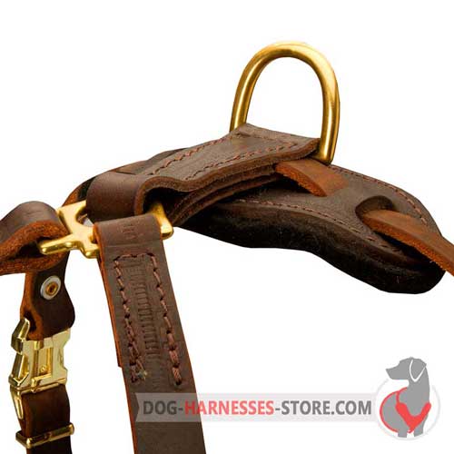 Tracking leather dog harness with brass hardware