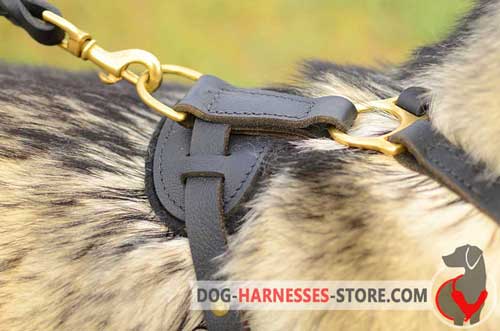 Leather Dog Harness with Rust-Proof Brass Fittings