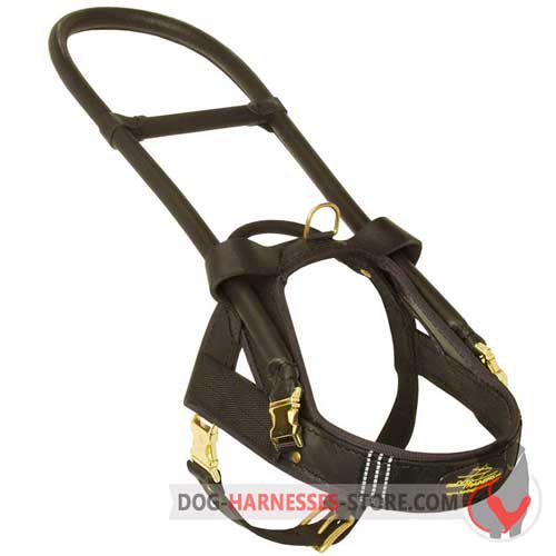 Guide Leather Dog Harness with Long Leather Covered Metal Handle and Additional Handle