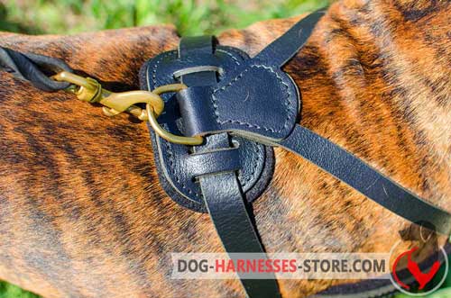 Dog Harness with D-ring for Leash Attachment
