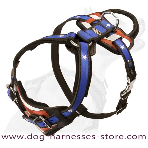 Painted Leather Dog Harness Padded With Soft Thick Felt