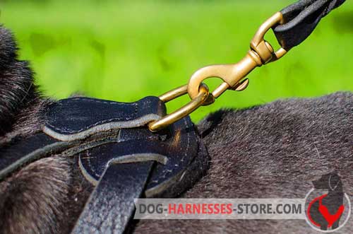 Leather Dog Harness Brass Ring Stitched on Back Plate