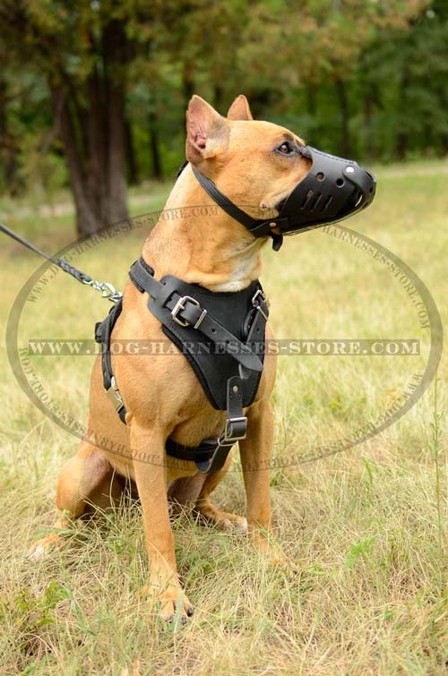 Leather Dog Harness Multifunctional