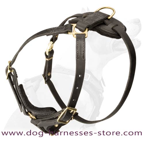 Easy Moving Dog Harness For Effective Tracking