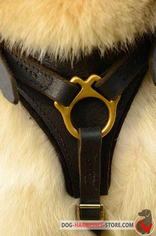 Leather Dog Harness With Elegant Chest Plate