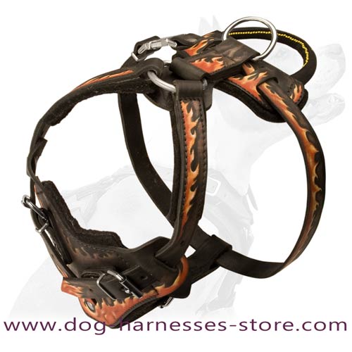 Riveted Painted Leather Dog Harness With Comfortable  Handle