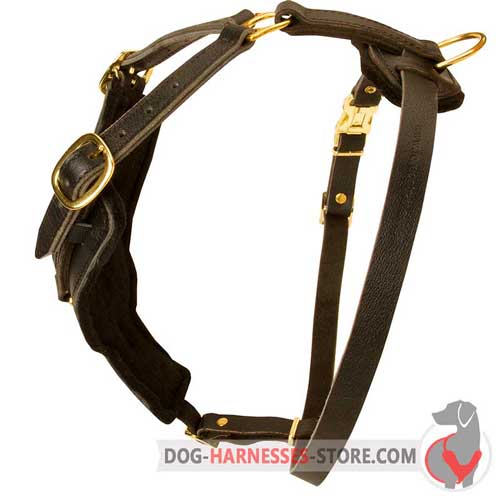 Leather Dog Harness for Long Training Sessions