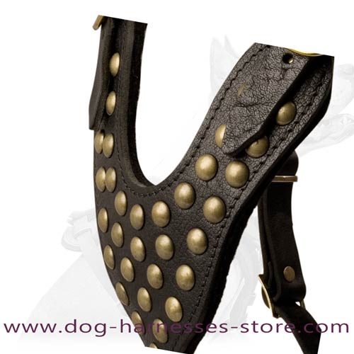 Y-Shape Leather Dog Harness With Brass Studs