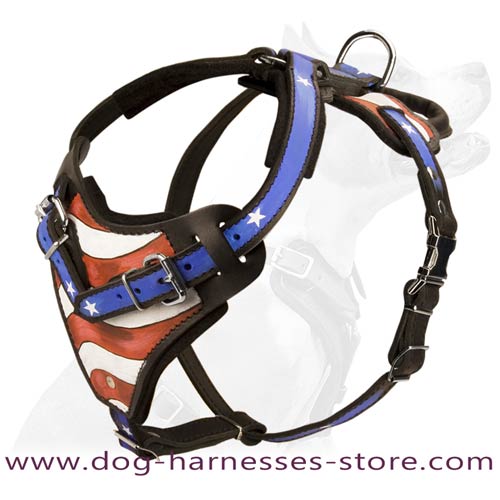 Hanrpainted American Pride Leather Dog Harness