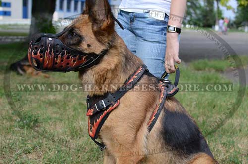 Decorated With Fire Flames Leather German Shepherd Harness