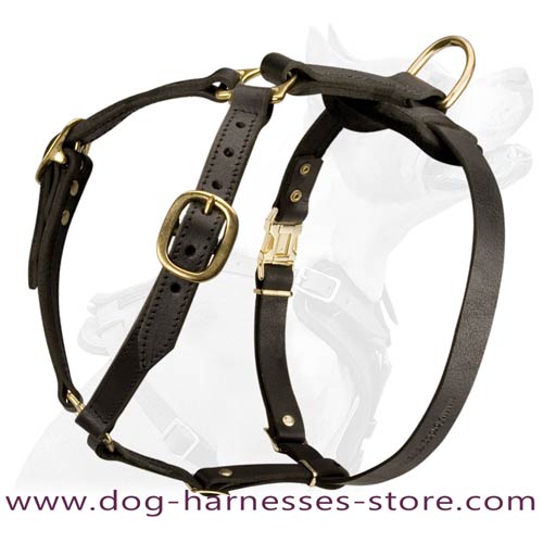 Comfortable Strap-Like Design Leather Dog Harness