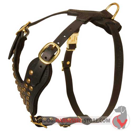 Adjustable Leather Dog Harness with Brass Studs on Chest Plate