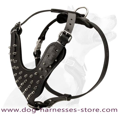Stylish Leather Dog Harness Decorated With Spikes