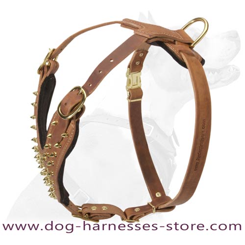 Exclusive Design Brass Spiked Leather Dog Harness